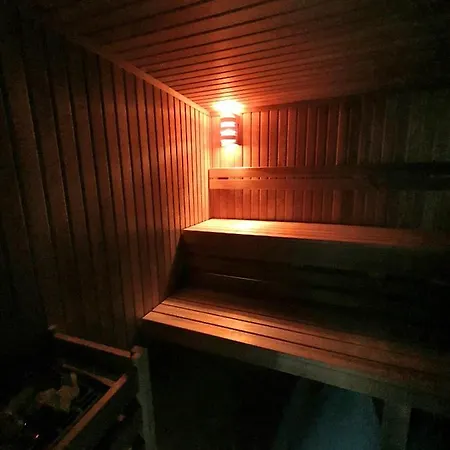 Szyszka Izerski - Strefa Z Sauna Apartment Świeradów-Zdrój