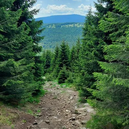 Szyszka Izerski - Strefa Z Sauna * Świeradów-Zdrój