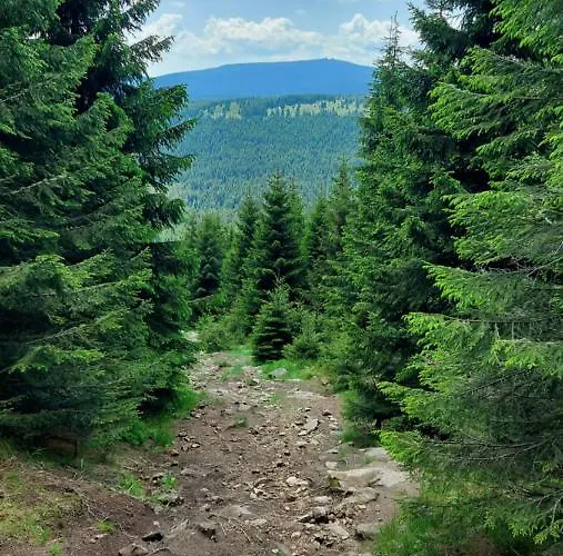 Szyszka Izerski - Strefa Z Sauna * Świeradów-Zdrój